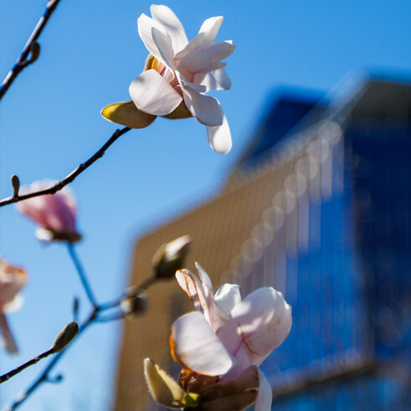 Equity and accessibility services in greater Washington, D.C., metro area